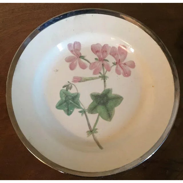 Ceramic 1810 English George III Pearlware Botanical Plates with Hand Painted Specimens & Silver Luster Borders - A Pair For Sale - Image 7 of 9