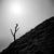 Not Yet Made - Made To Order Paul Cooklin, Tree, Castleton, Peak District, Edition of 50 For Sale - Image 5 of 5