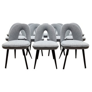 Dining Chairs by Antonin Suman, 1960s, Set of 12 For Sale