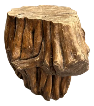 Natural Tree Root Plant Stand
