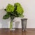 Lovely Art Nouveau pewter vase from Denmark, 1920s. Beautiful hand-hammered pewter vase with scalloped detail. Rests on...