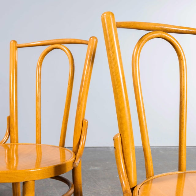 Vintage Bentwood Dining Chairs, 1970s, Set of 4 For Sale - Image 3 of 11