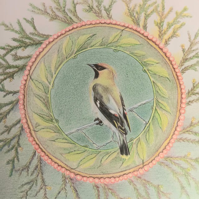 Realism Cedar Waxing Birds Giclee Print Tamlyn Akins Soft Pastel Colors Mat Framed 13x17 For Sale - Image 3 of 16