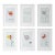 Set of 6 - Framed Organic Modern Botanic Oil Paintings by Diane Grant / Contemporary Herbarium / Cy Twombly For Sale