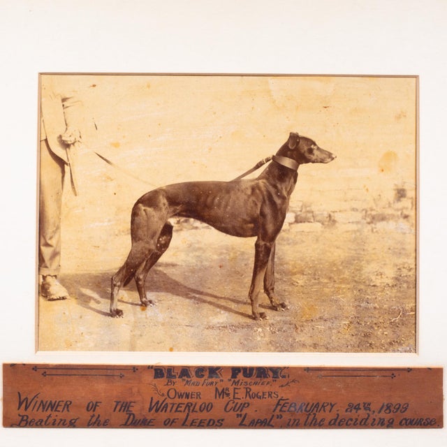 ABOUT A late-Victorian sporting memorabilia celebrates the greyhound "Black Fury," the historic winner of the 1898...