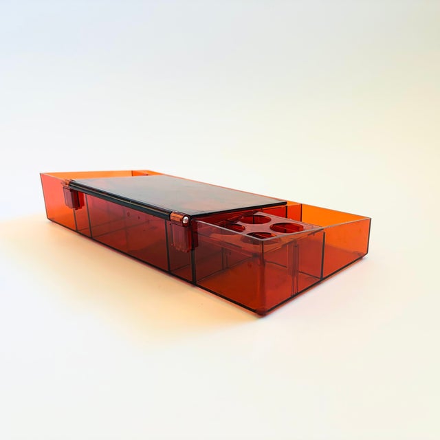 Tortoiseshell Lucite Vanity Organizer For Sale - Image 10 of 10
