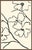 Contemporary Dogwood Triptych by Susan Hable For Sale - Image 3 of 5
