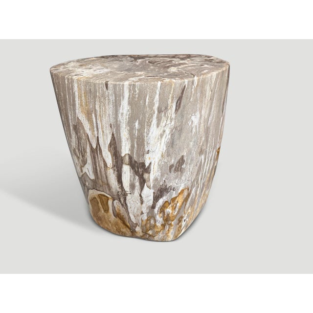 Beautiful rare tones on this high quality petrified wood side table. It’s fascinating how Mother Nature produces these...