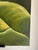 Textile Original Oversized Tropical Palm Oil Painting | 34" X 72" For Sale - Image 7 of 7
