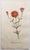 After Sowerby, Botanical Prints, 1793, Lithograph, Set of 12 For Sale - Image 3 of 14