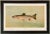 American Fish 13 the Kern River Trout by Harris CFA Edition Giclee Print For Sale