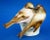 Ceramic 20th Century Porcelain Sparrows from Zsolnay, Hungary For Sale - Image 7 of 18