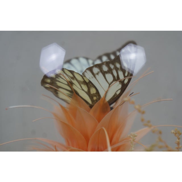 Late 20th Century Floral Butterfly Diorama Taxidermy Display Apothecary Cloche Dome 12" For Sale - Image 13 of 14
