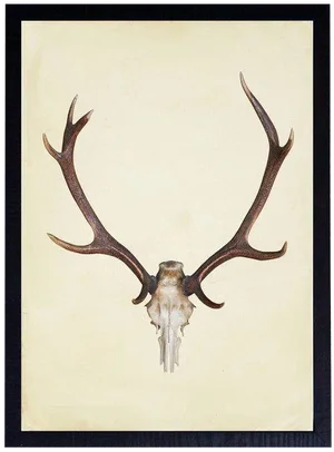 Vertical Antlers - 25" X 33"