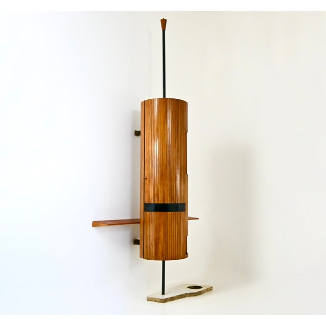 Italian Wall Unit by Vittoriano Viganò, 1960s For Sale - Image 12 of 12