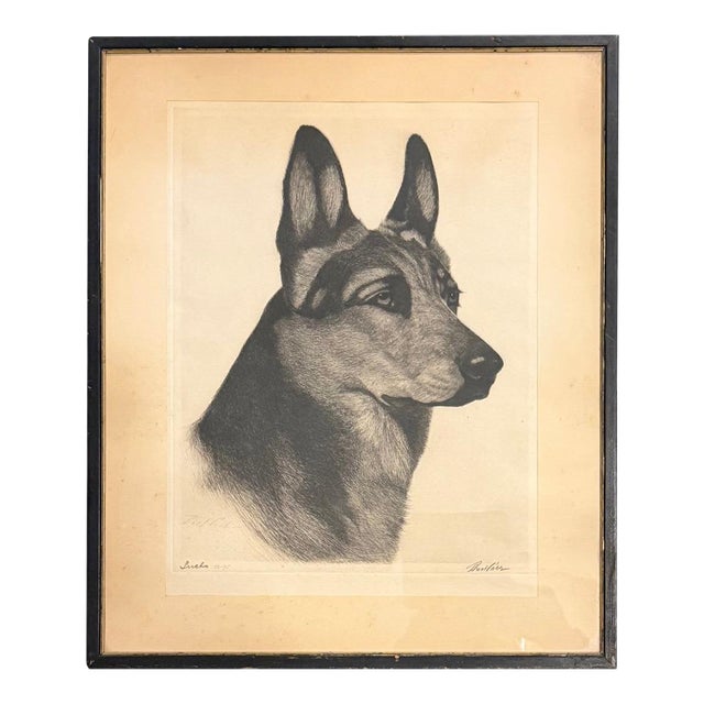 Limited Edition Bert Cobb Signed Drypoint Etching German Shepherd Luchs 33 of 75 For Sale