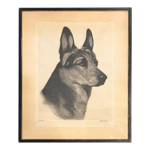 Limited Edition Bert Cobb Signed Drypoint Etching German Shepherd Luchs 33 of 75
