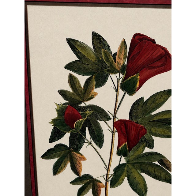 Vintage Framed "Jenna's Flowers Ii" Botanical Print by Decorative Arts, Inc. For Sale - Image 10 of 12