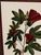 Vintage Framed "Jenna's Flowers Ii" Botanical Print by Decorative Arts, Inc. For Sale - Image 10 of 12