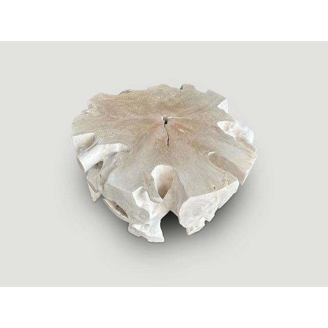 Contemporary Andrianna Shamaris St. Barts Teak Wood Round Coffee Table For Sale - Image 3 of 5