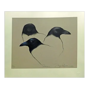 Frank Howell "Raven" 1994 Lithograph on Paper Unframed Hand Signed Birds #81