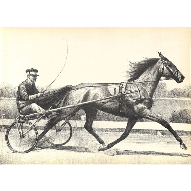 "Black, Bay and Chestnut: Profiles of Twenty Favorite Horses" 1939 Anderson, c.w. For Sale - Image 9 of 10