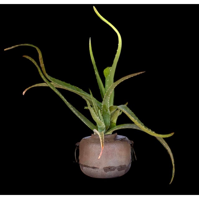 Antique Meiji Japanese Chagama Iron Metal Tea Kettle For Sale In Los Angeles - Image 6 of 15