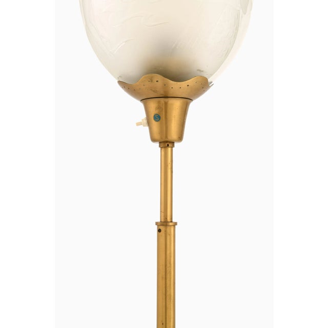 Floor lamp in brass and double glass shades by bo notini, 1940’s additional information: material: brass, double glass...