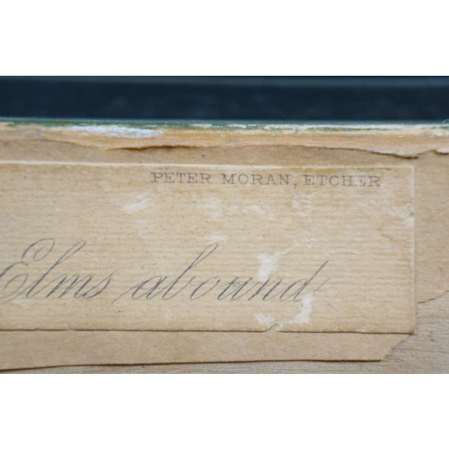 Antique Hw Robbins Where Noble Elms Abound Cows Farmhouse Road Etching 34" For Sale - Image 13 of 15