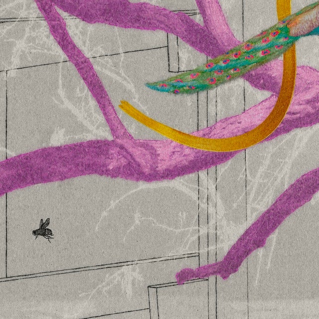 Pink Contemporary The Peacock by Steve Moors, 26"x26" Framed For Sale - Image 8 of 11