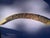 Vintage Mid-Century Chinoiserie Faux Ivory Carved Resin Dragon Tusk 23” Long Statement Piece For Sale - Image 11 of 12