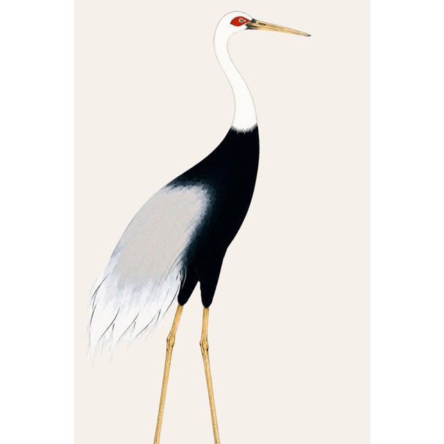 A curated triptych featuring three crane studies inspired by historical Japanese crane imagery. Rendered against a warm...