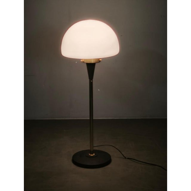 Space Age Brass and Opaline Glass Floor Lamp from Lidokov, 1960s For Sale - Image 4 of 14