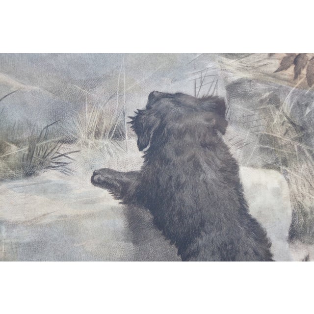 Antique Arlent Edwards First Step Puppy Engraving After George Swinstead 37" For Sale - Image 12 of 16
