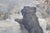 Antique Arlent Edwards First Step Puppy Engraving After George Swinstead 37" For Sale - Image 12 of 16