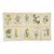 Antique Carl Lindman Botanical Color Lithographs, Sweden, 1901–1905, Set of 10 For Sale
