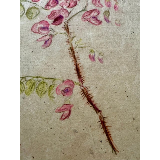 Rustic Henry Emil Salloch Original Watercolor on Paper Pink Locust Blossoms, 1941. For Sale - Image 3 of 6