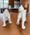 Fitz and Floyd Vintage Porcelain "Blanc De Chine" Foo Shi Dogs by Fitz and Floyd For Sale - Image 4 of 6