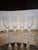 Glass Hoya Champagne Flutes Peony Pattern Set of Four For Sale - Image 7 of 7