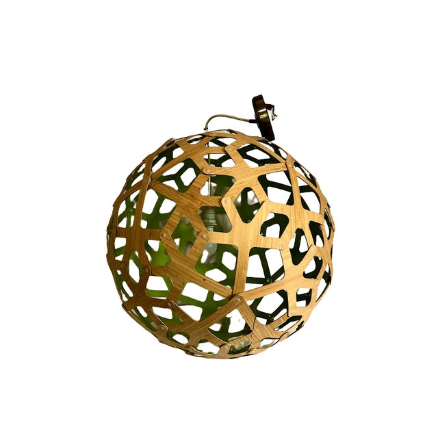 The Eco-Friendly Coral Pendant Light, by David Trubridge For Sale In San Francisco - Image 6 of 9