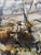 Large Oil on Cardboard Landscape Painting From 70's For Sale - Image 13 of 15