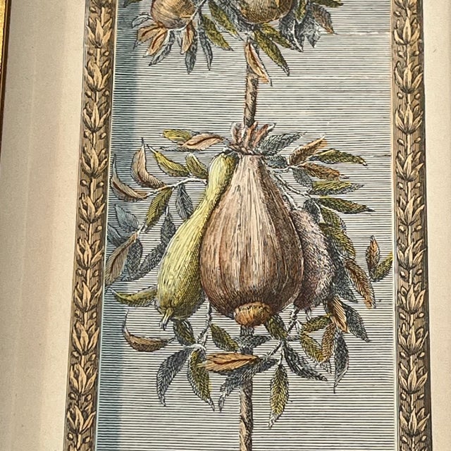 Vintage Hand Colored Engraving Old World European Fruit Swag For Sale - Image 13 of 18