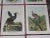 Late 19th Century Antique 19th Century Large Folio Bird Lithographs - Set of 12 For Sale - Image 5 of 9