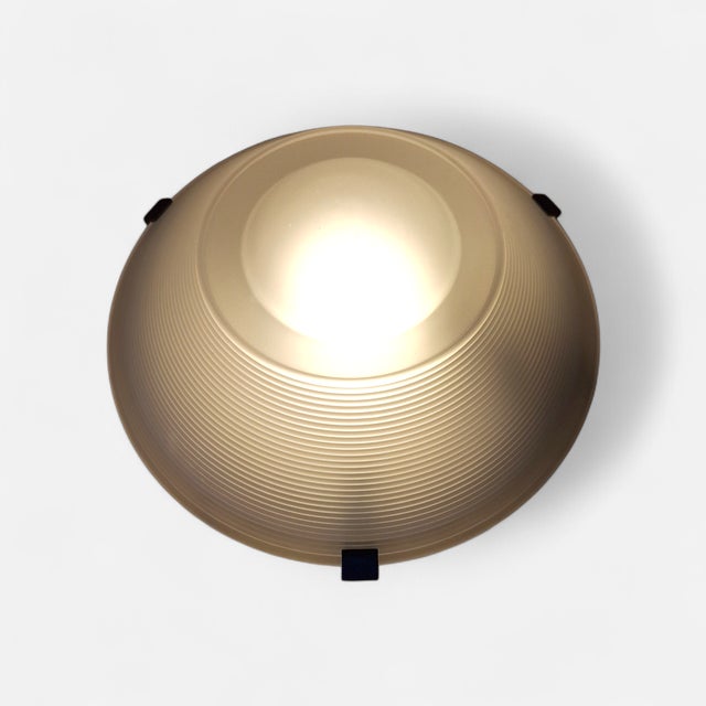 Vintage Ceiling Light by F. Fabbian, Italy, 1980s For Sale - Image 4 of 6