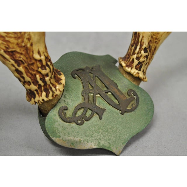 Metal Antique Victorian Taxidermy Whitetail Deer Antler Wall Mount Metal Shield Plaque For Sale - Image 7 of 15