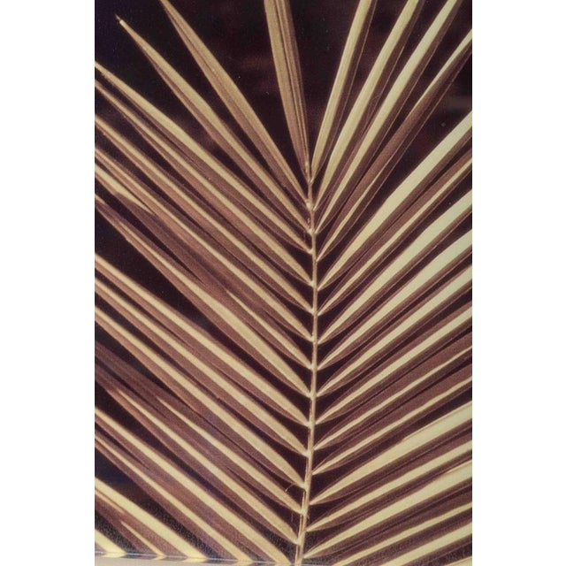 Decorative Art Glass Work with Palm Leaf, Late 20th Century For Sale - Image 3 of 5