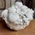1970s Italian Hollywood Regency Blanc De Chine Trompe L’Oeil Fruit Basket For Sale In Mobile - Image 6 of 12