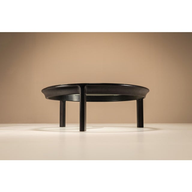 Wood De Nos Coffee Table by Angelo Mangiarotti for Sorgente Del Mobile, 1975 For Sale - Image 7 of 12