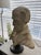 Realism Vintage A. Santini Giuseppe Verdi Bonded Marble Bust - Made in Italy (C. 1960s-1980s) For Sale - Image 3 of 8
