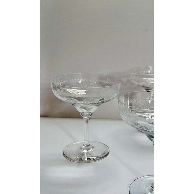 Early 20th Century Early 20th Century Bryce Etched Glass Champagne Saucer For Sale - Image 5 of 8